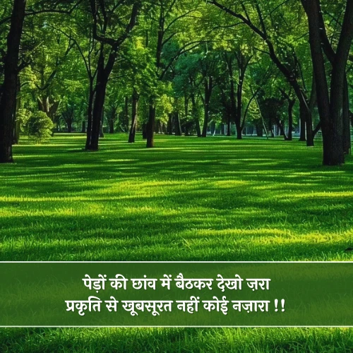 Beauty of Nature Shayari in Hindi Beauty of Nature Shayari in Hindi