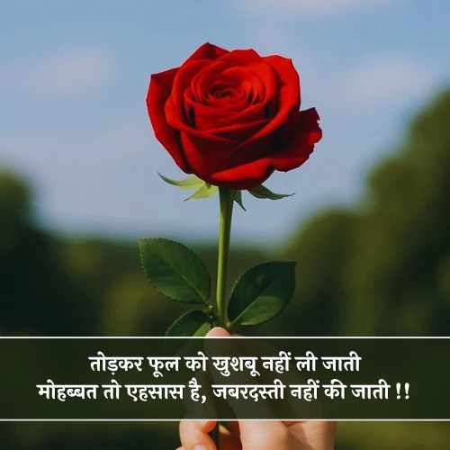 Flower Phool Shayari Flower Phool Shayari
