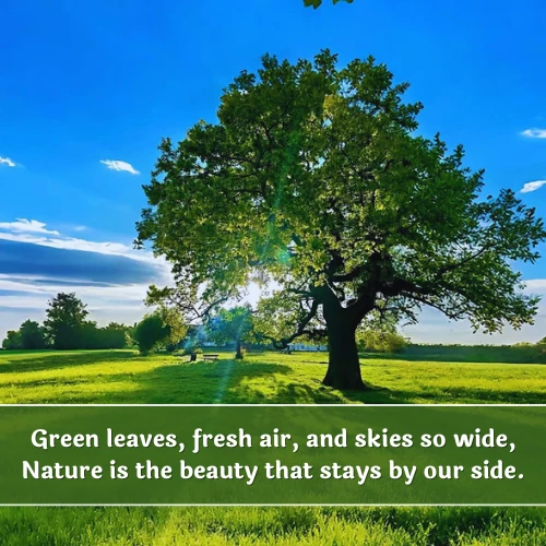 Nature Shayari in English Nature Shayari in English