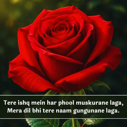 Phool Shayari 2 Line English Phool Shayari 2 Line English