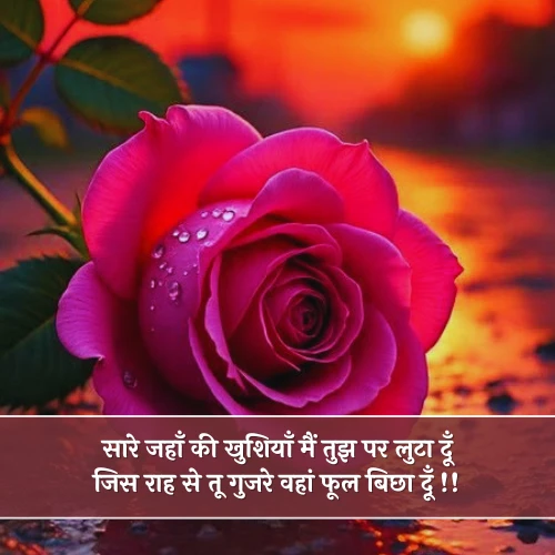 Phool Shayari 2 Line For Girl Phool Shayari 2 Line For Girl