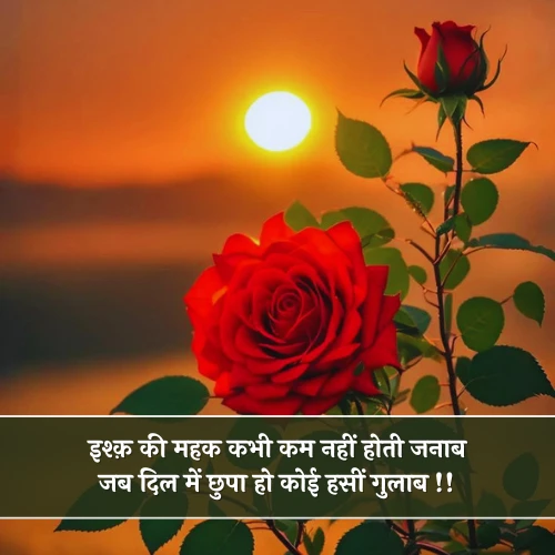 Phool Shayari 2 Line Love Phool Shayari 2 Line Love
