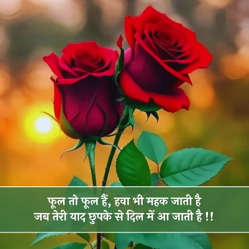 Phool Shayari 2 Line Phool Shayari 2 Line