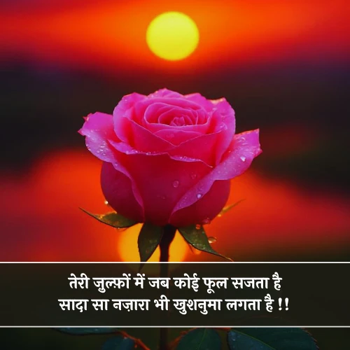 Phool Shayari Phool Shayari