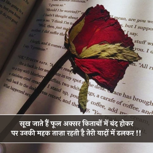 Sukhe Phool Shayari Sukhe Phool Shayari