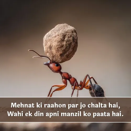 Mehnat Shayari 2 Line English Mehnat Shayari 2 Line English
