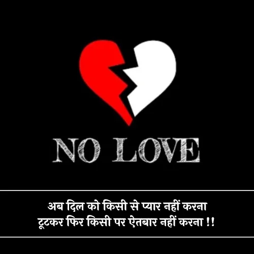 No Love Shayari 2 Line No Love Shayari 2 Line
