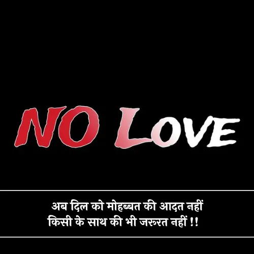No Love Shayari Attitude No Love Shayari Attitude