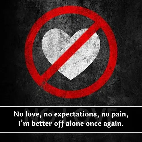 No Love Shayari English No Love Shayari English