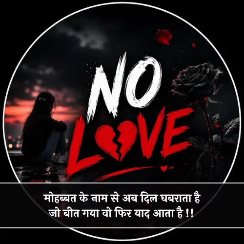 No Love Shayari Girl No Love Shayari Girl