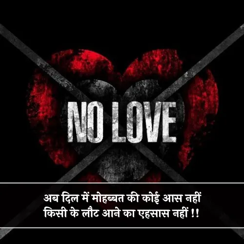 No Love Shayari in Hindi No Love Shayari in Hindi
