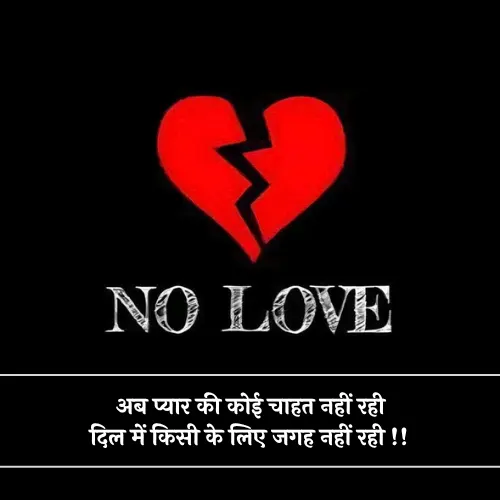 No Love Shayari No Love Shayari